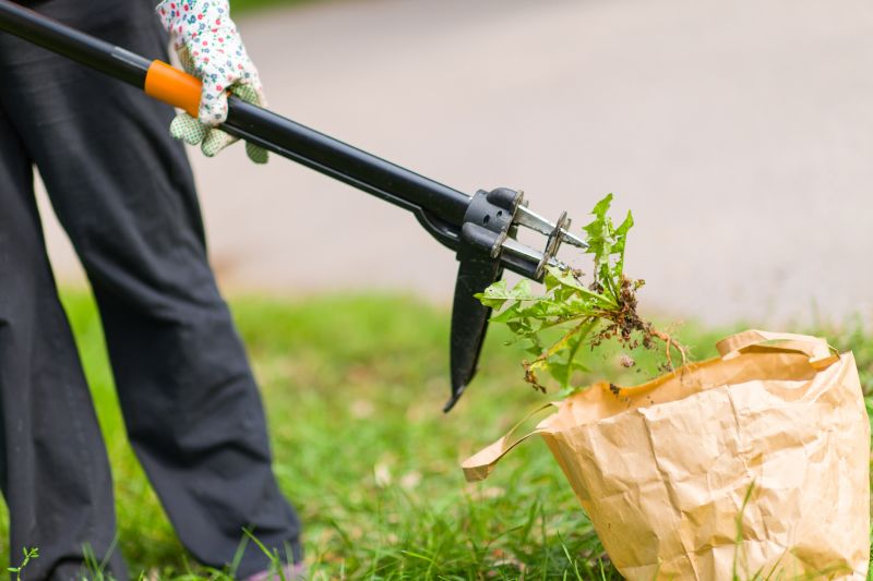 Manual Removal Tools