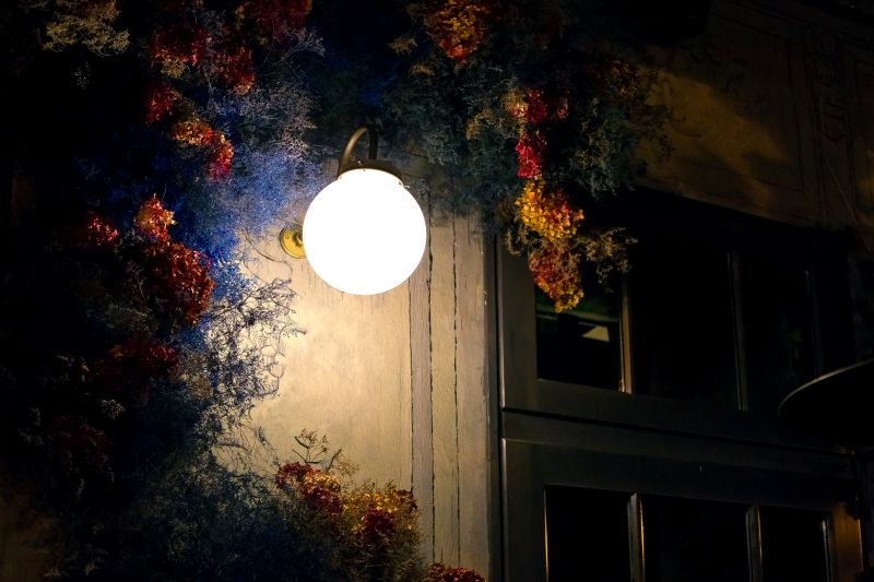 Outdoor Lamp Installation in Denver County, CO